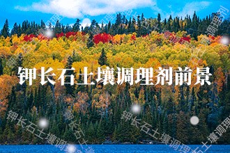 2024年钾长石土壤调理剂发展前景 钾长石土壤调理剂市场前景预测(图1)