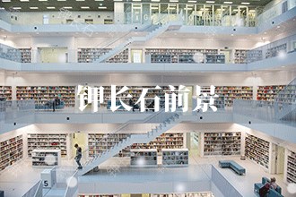 2024年钾长石发展前景 钾长石市场前景预测(图1)