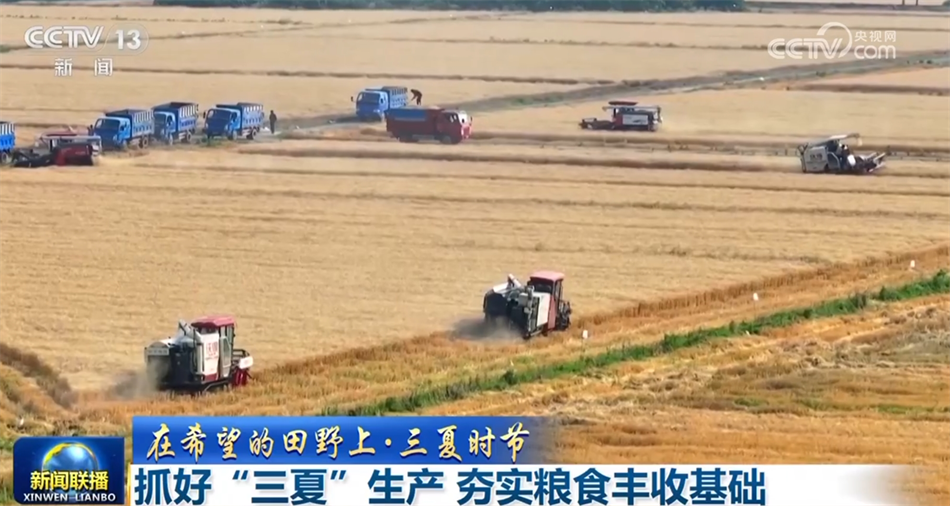 数据彰显经济运行强劲脉动 中国高质量发展“枝繁叶茂”行稳致远(图4)